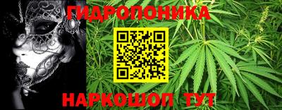 меф Краснознаменск