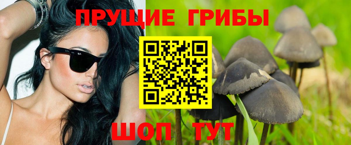 Галлюциногенные грибы мицелий  Вход с VPN  Кисловодск 